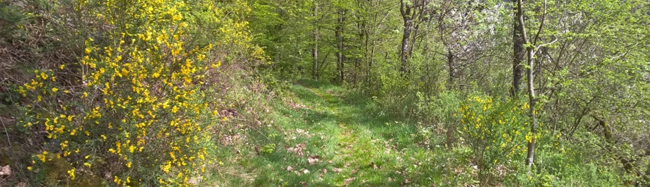 2024 | © Michael Cremer