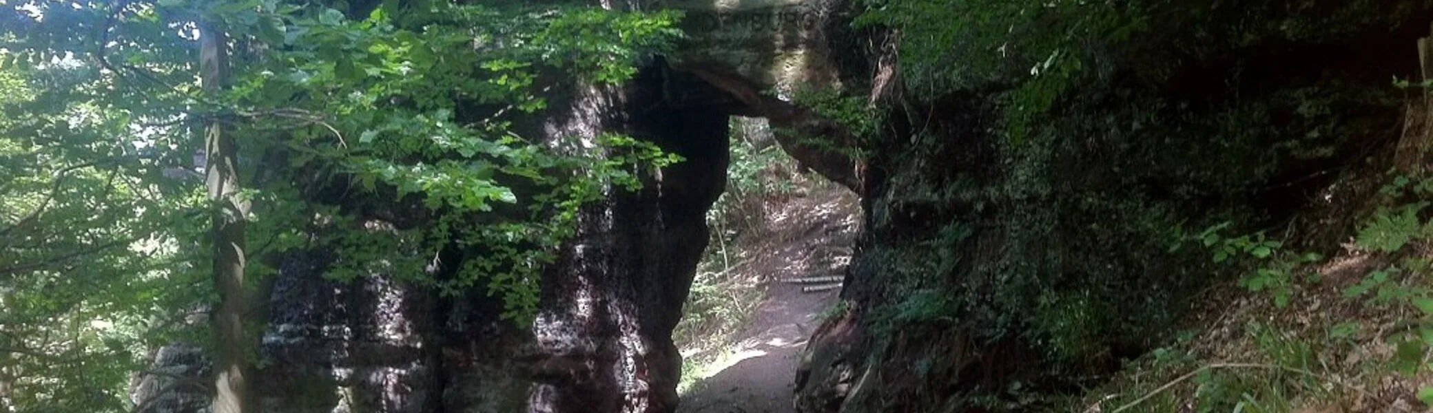 2019 | © Michael Cremer