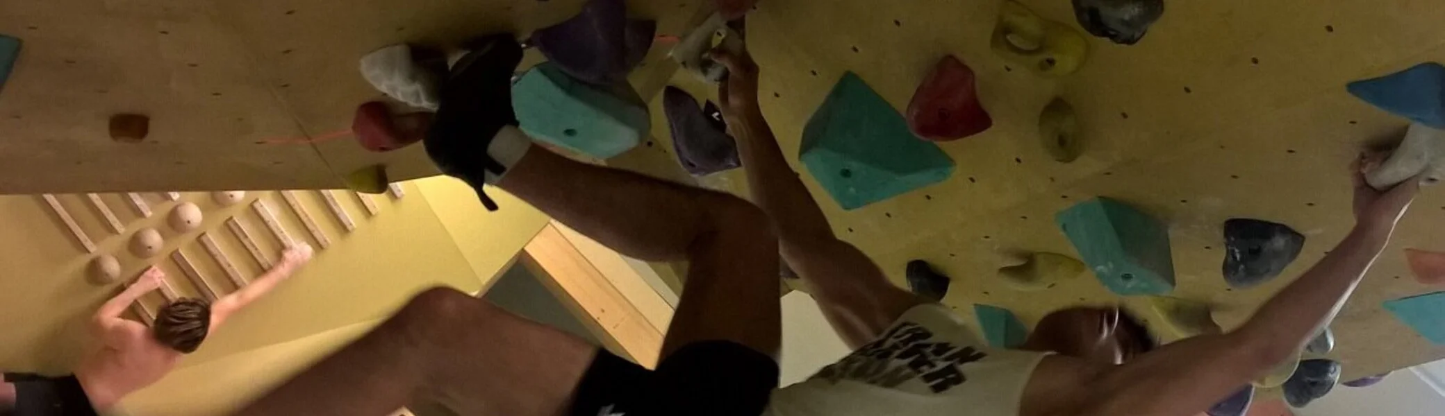 2023 | © Michael Cremer