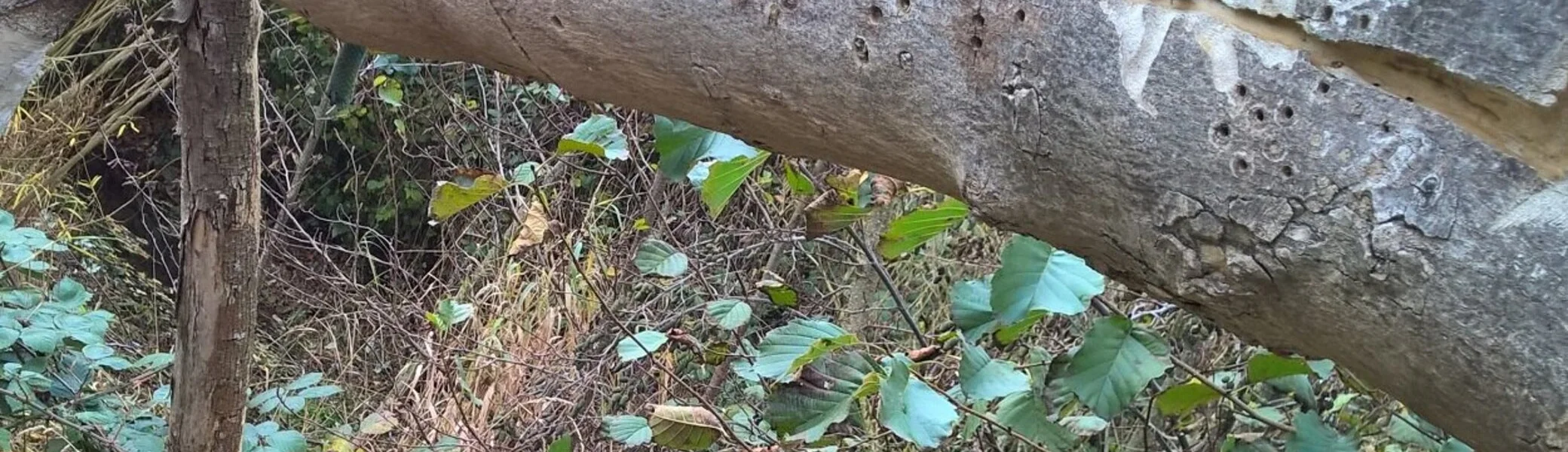 2024 | © Michael Cremer