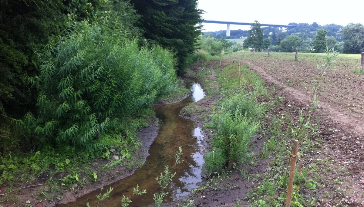 2018 | © Michael Cremer