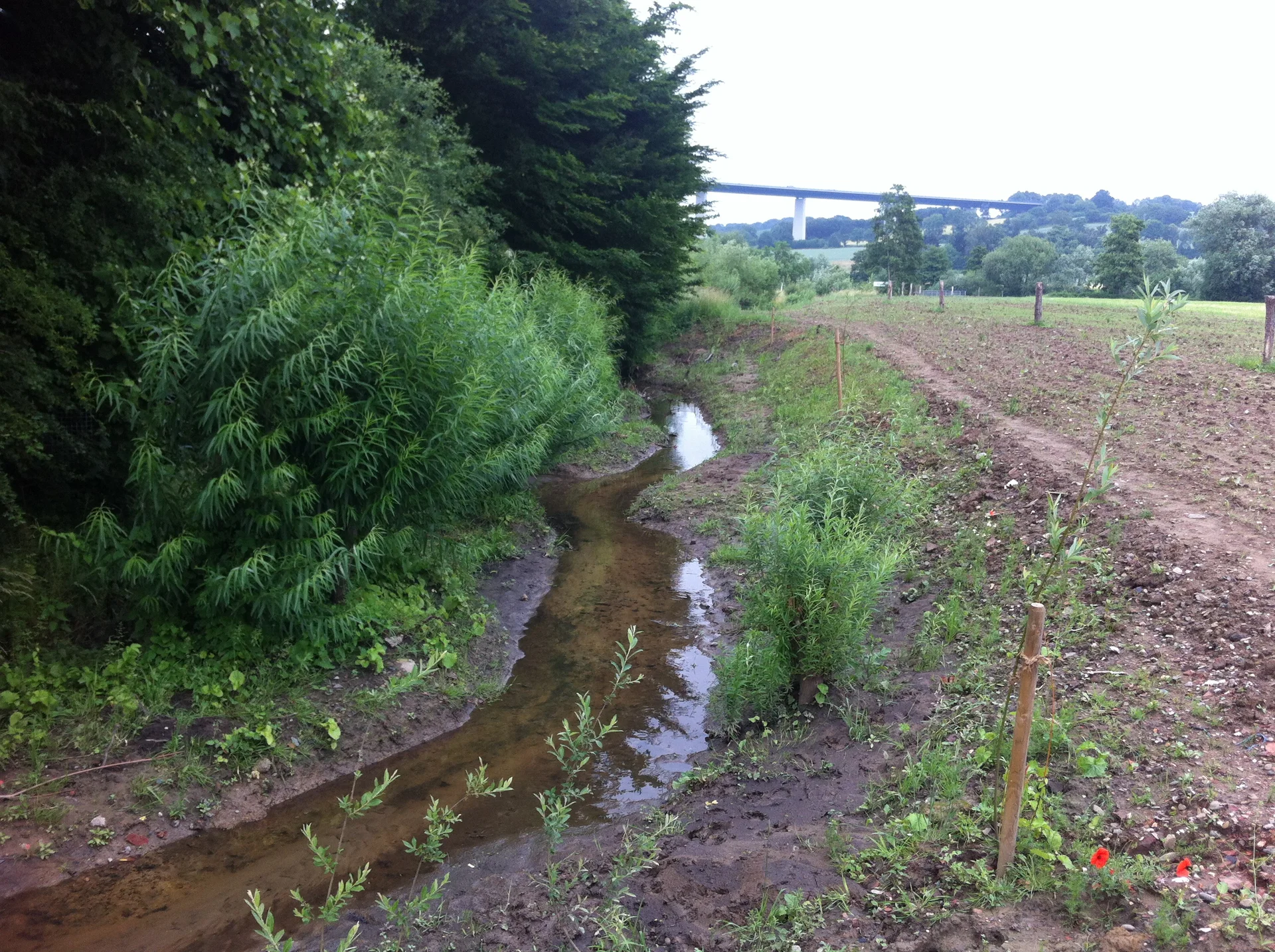 2018 | © Michael Cremer