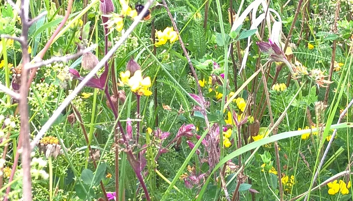 2020 | © Michael Cremer