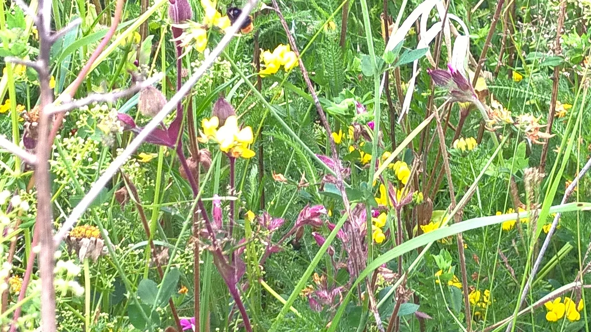 2020 | © Michael Cremer