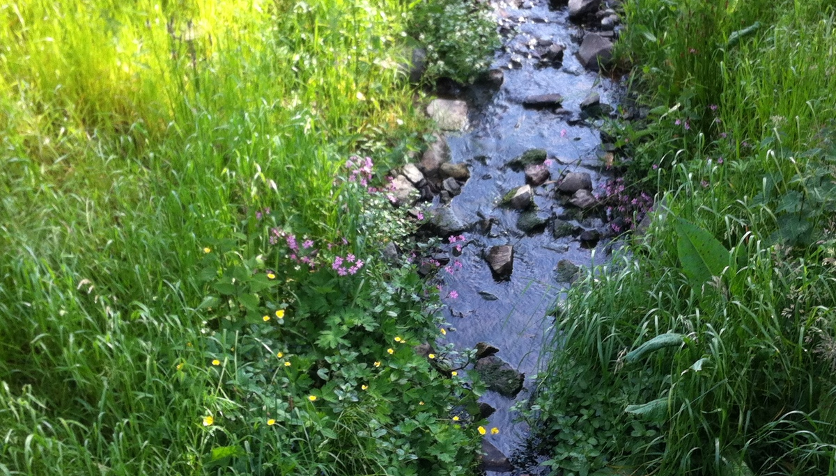 Alpenbach in der Mintarder Aue | © Michael Cremer 2019 | © Michael Cremer
