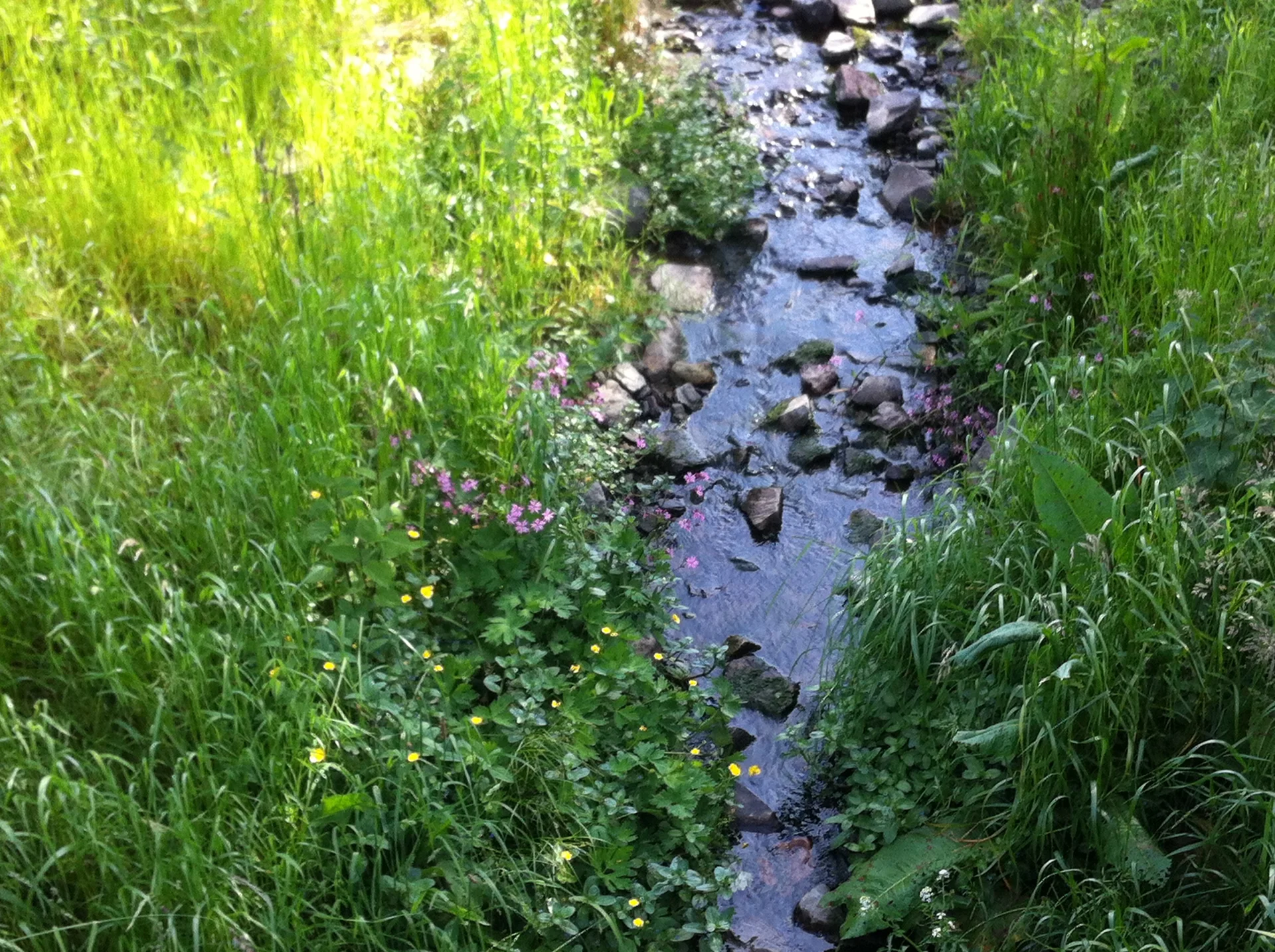 2019 | © Michael Cremer