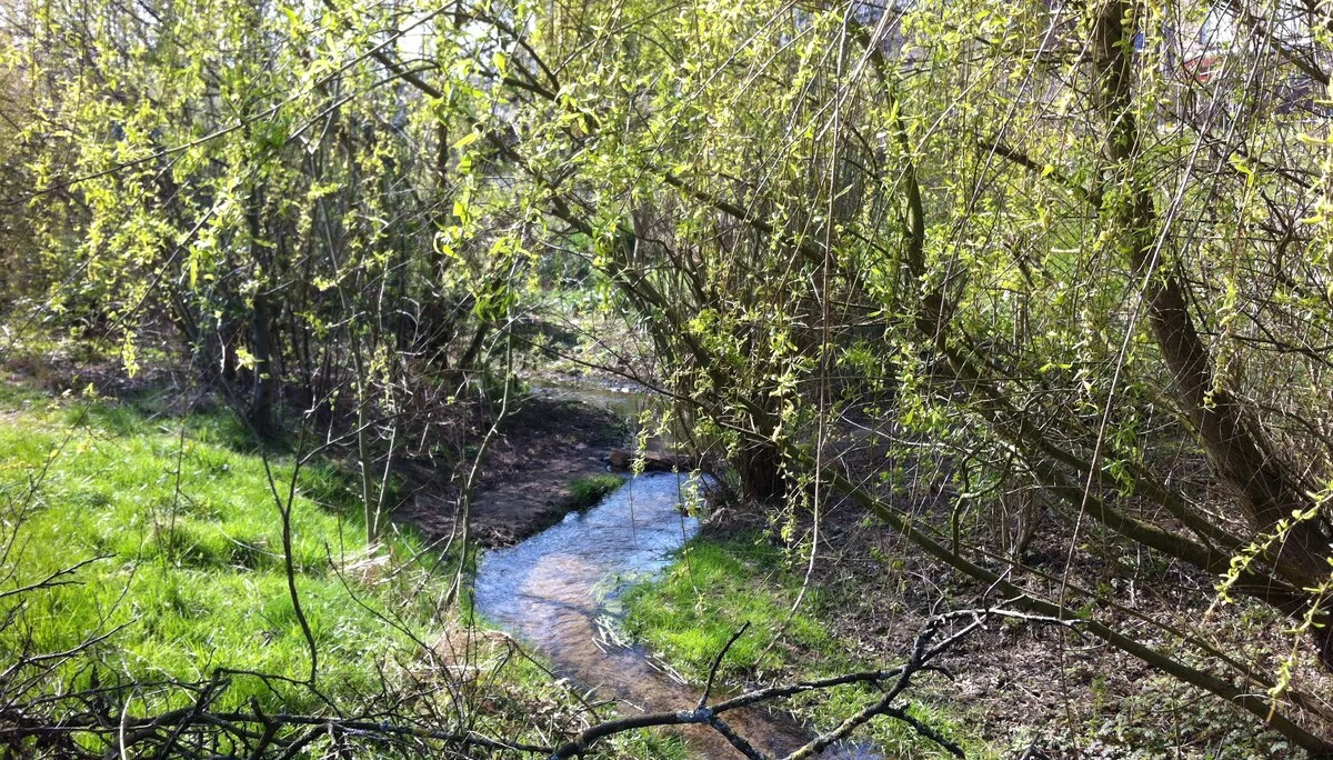 2020 | © Michael Cremer