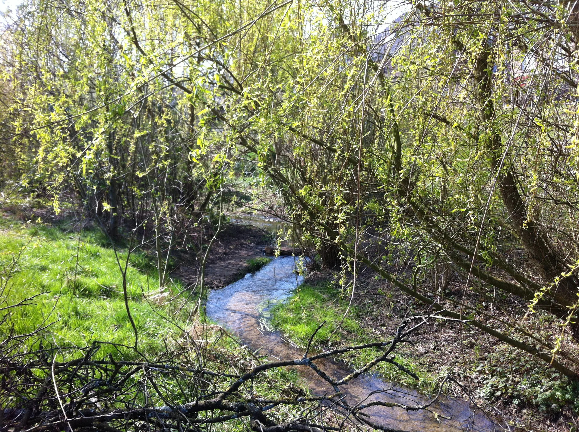 2020 | © Michael Cremer