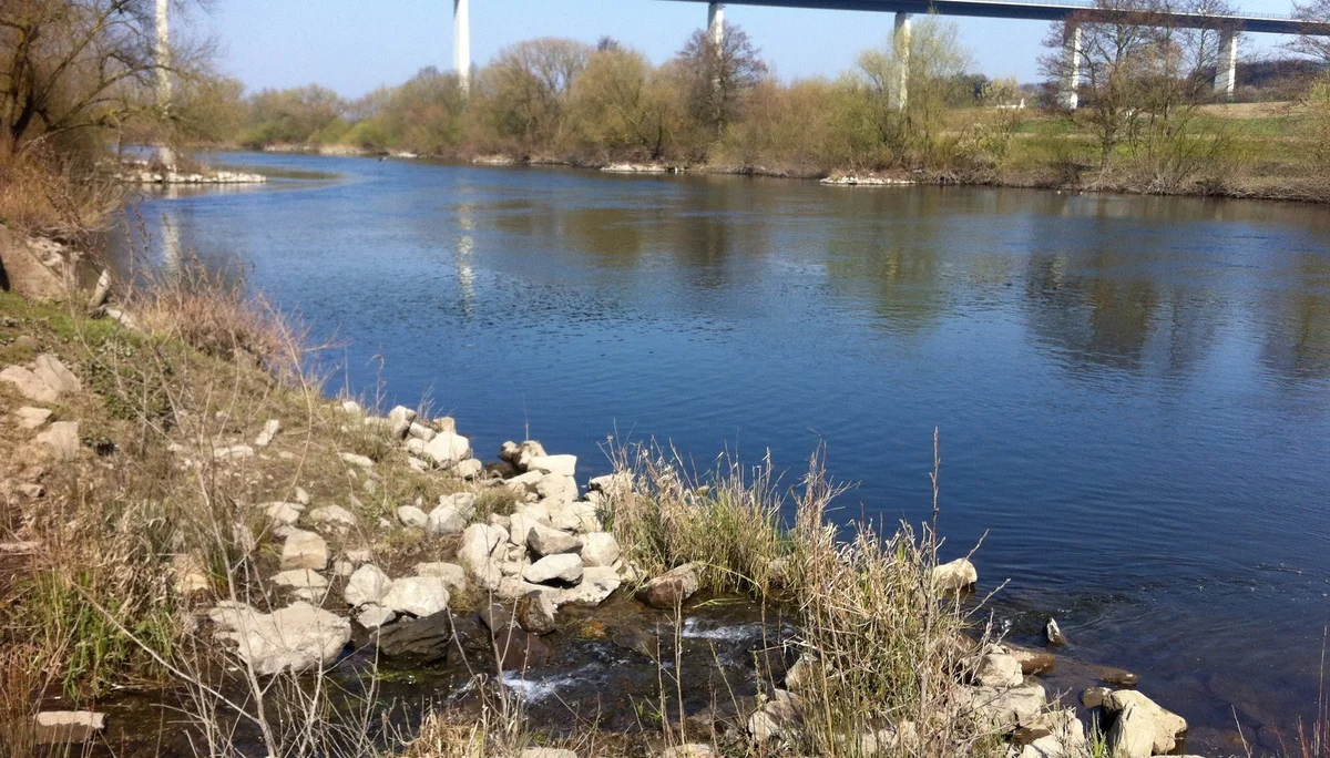 2020 | © Michael Cremer