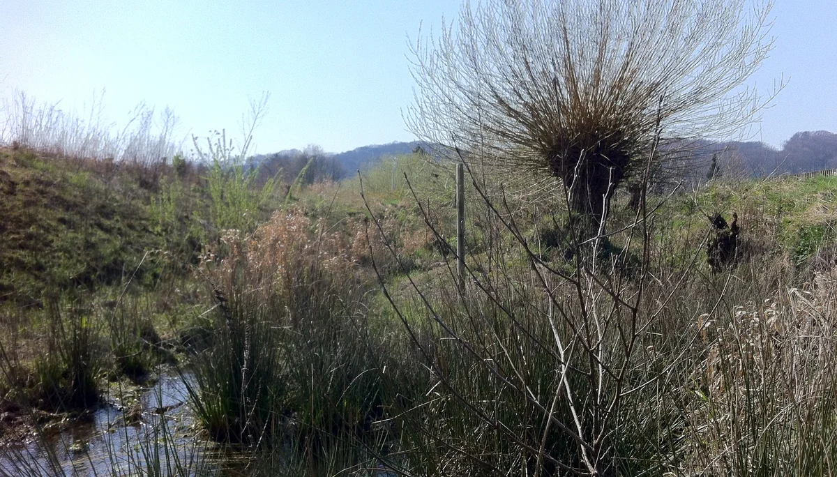 2020 | © Michael Cremer