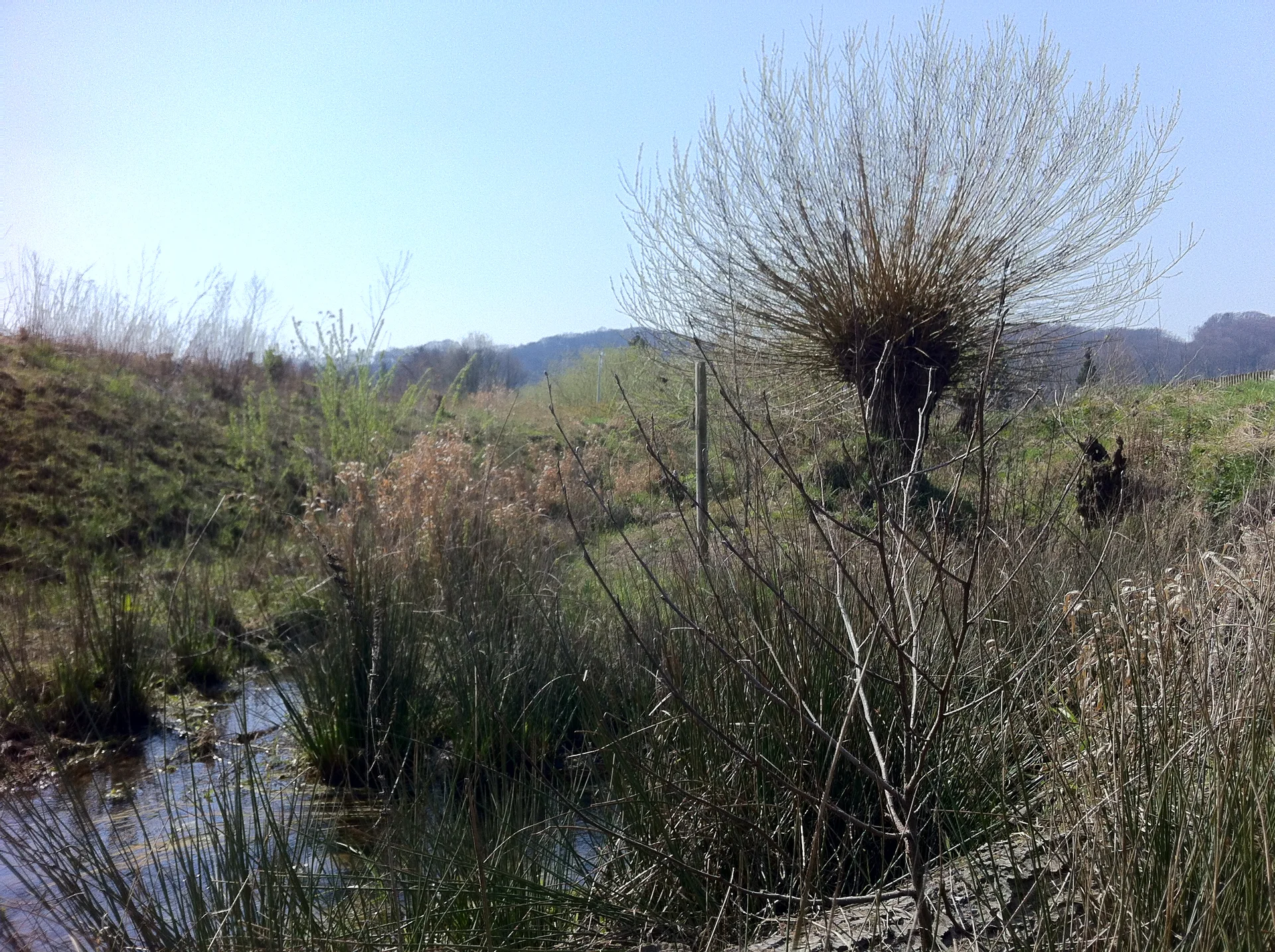 2020 | © Michael Cremer