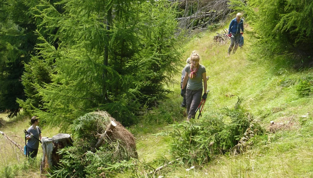 2023 | © Martin Strunk