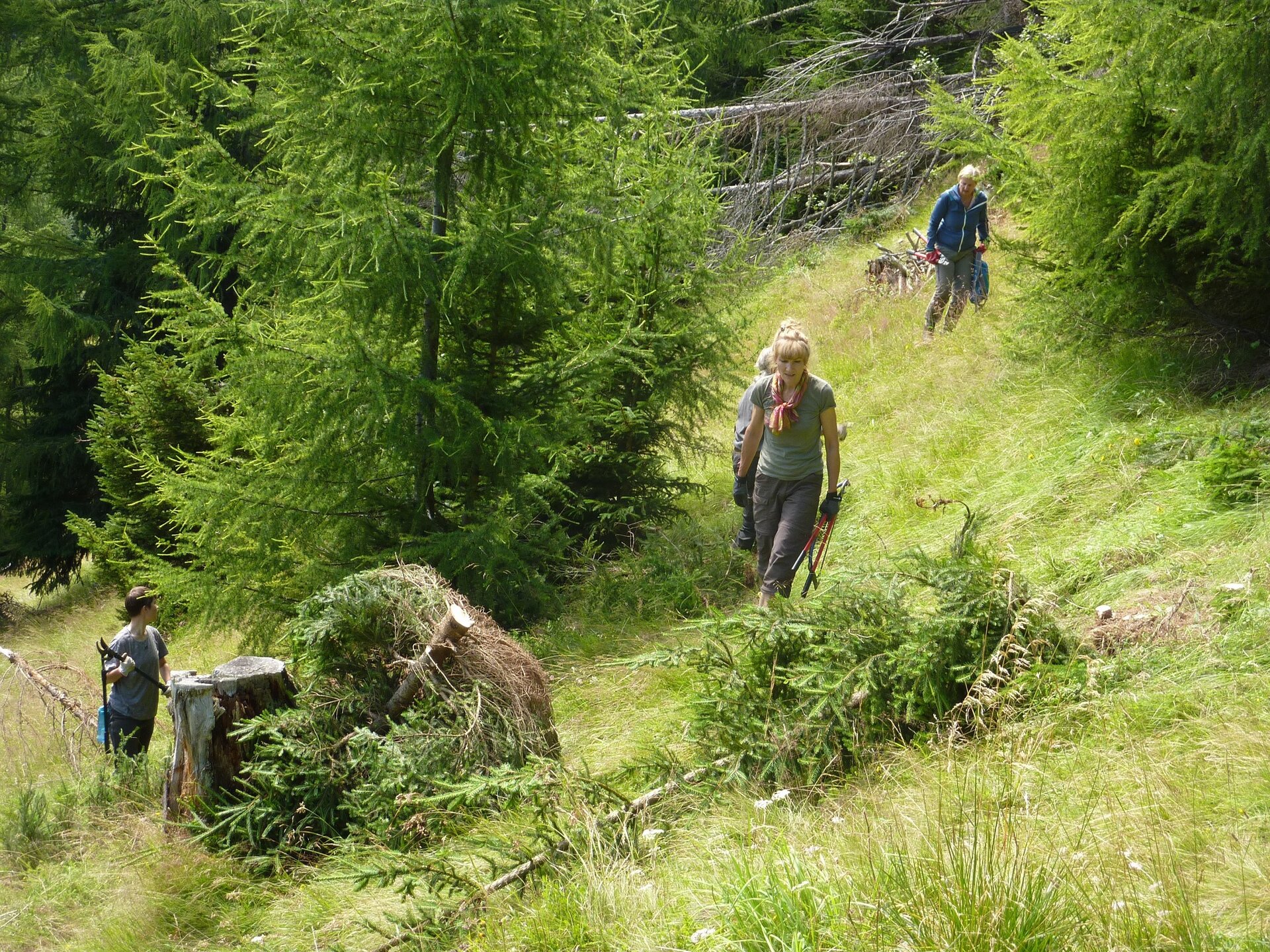 Aufbruch ins verwilderte Gelände der Watzingeralm | © Martin Strunk 2023 | © Martin Strunk