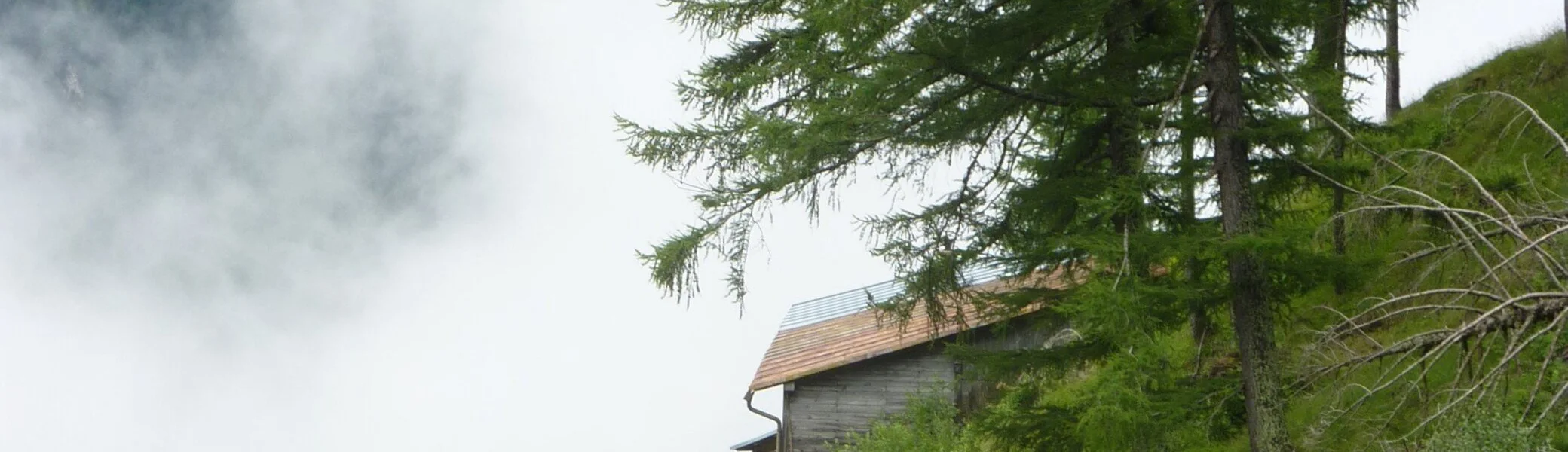 2023 | © Martin Strunk