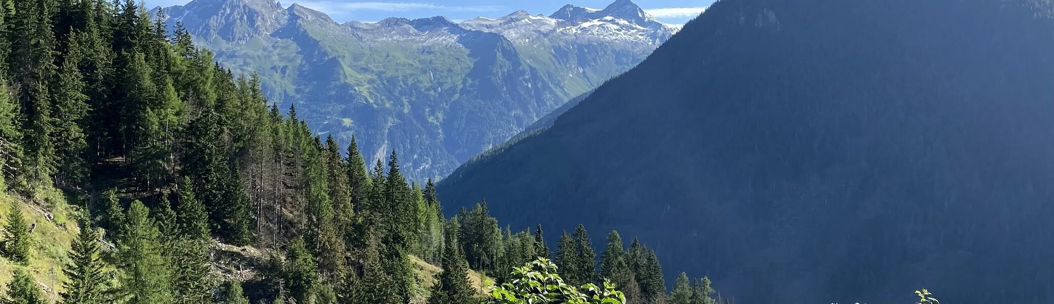 2023 | © Petra Herrchen