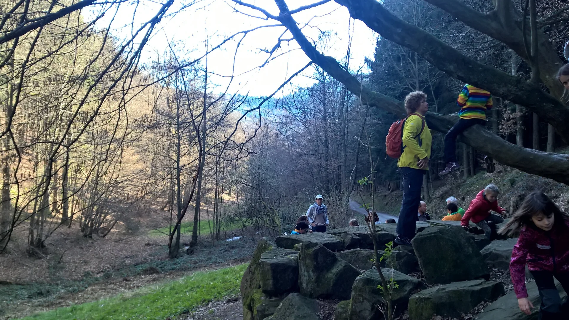 2017 | © Michael Cremer