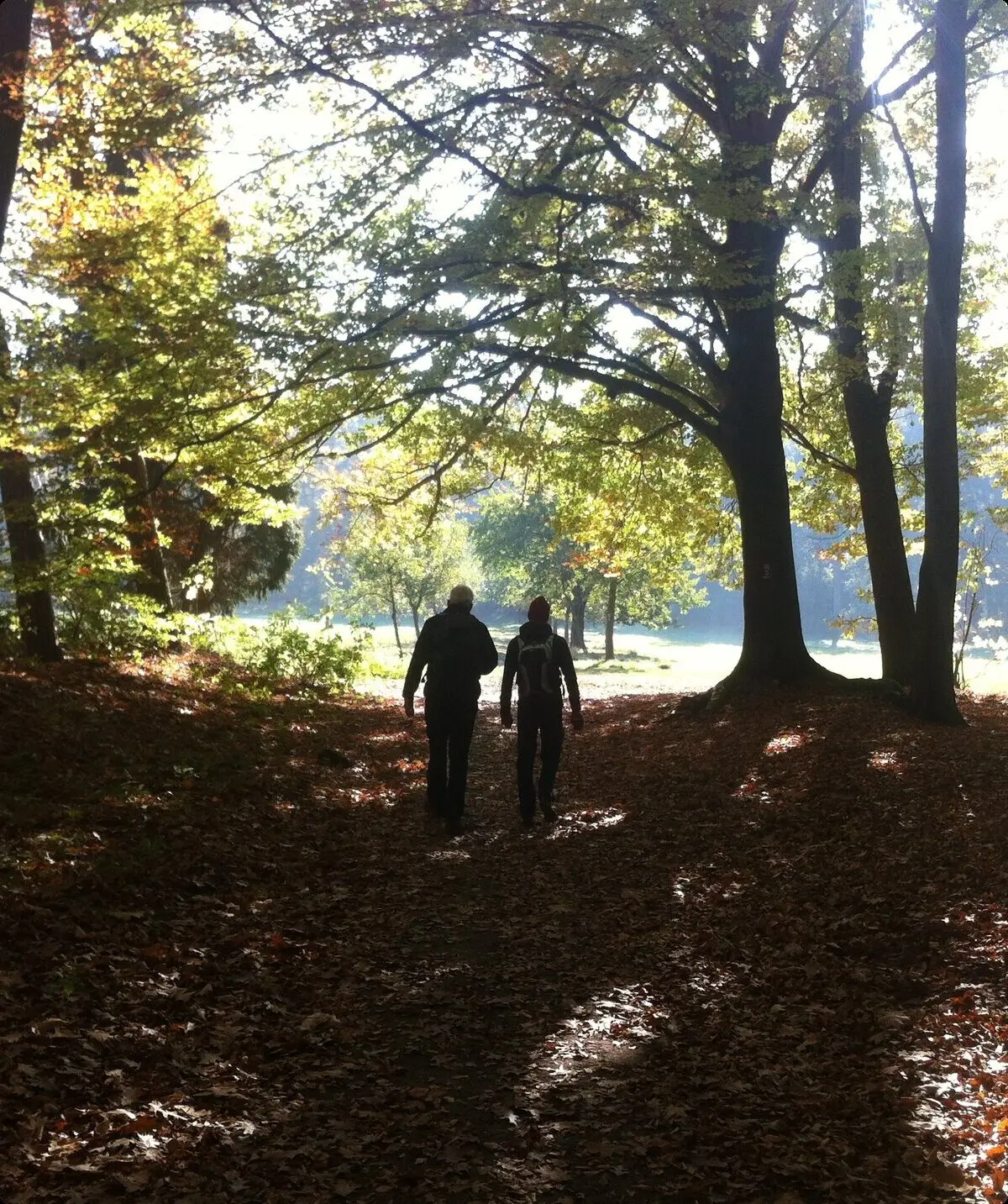 2018 | © Michael Cremer