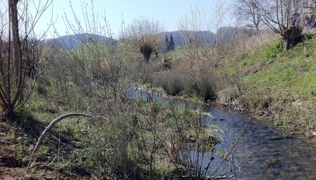 Der Alpenbach kurz vor seiner Mündung in die Ruhr | © Michael Cremer 2020 | © Michael Cremer