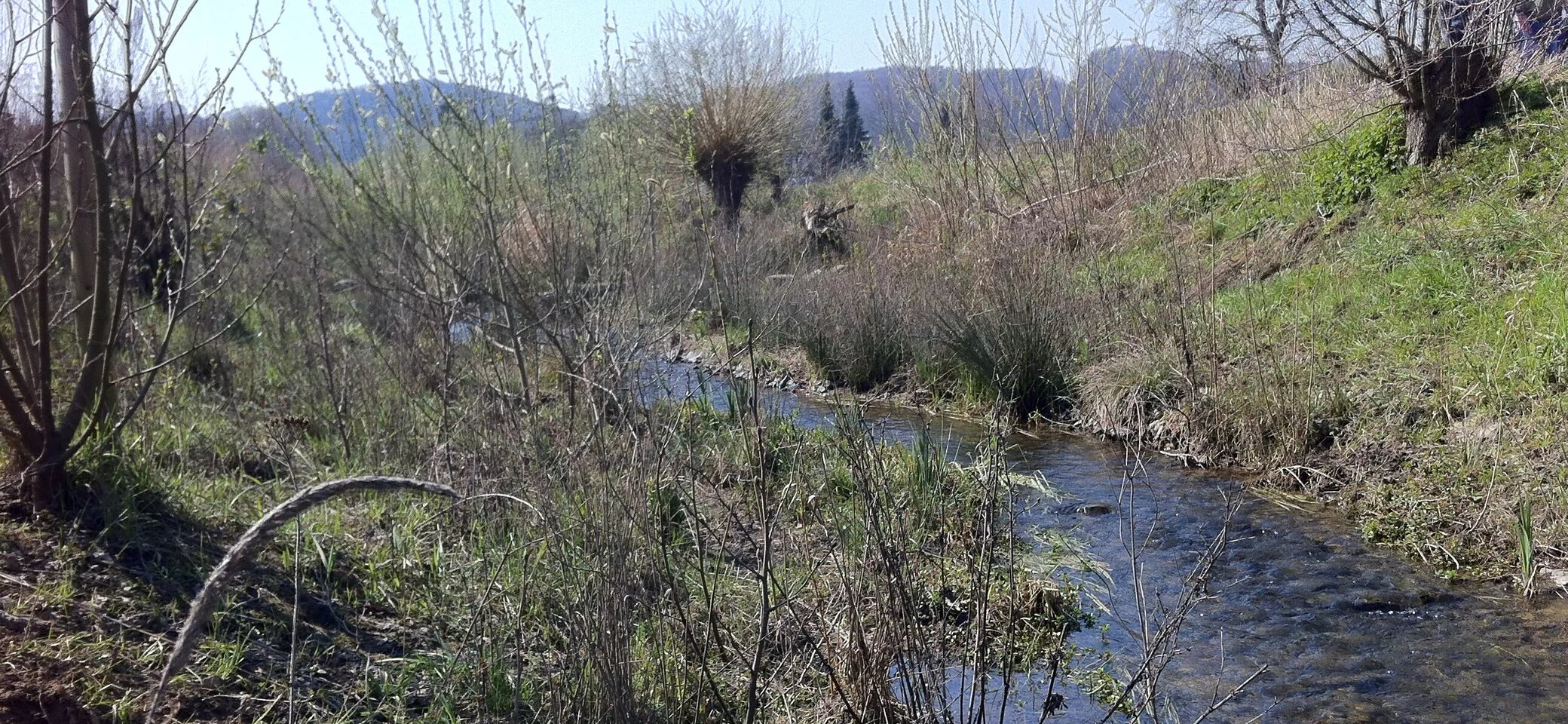 2020 | © Michael Cremer