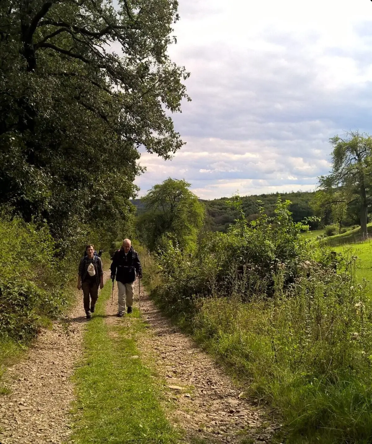 2020 | © Michael Cremer