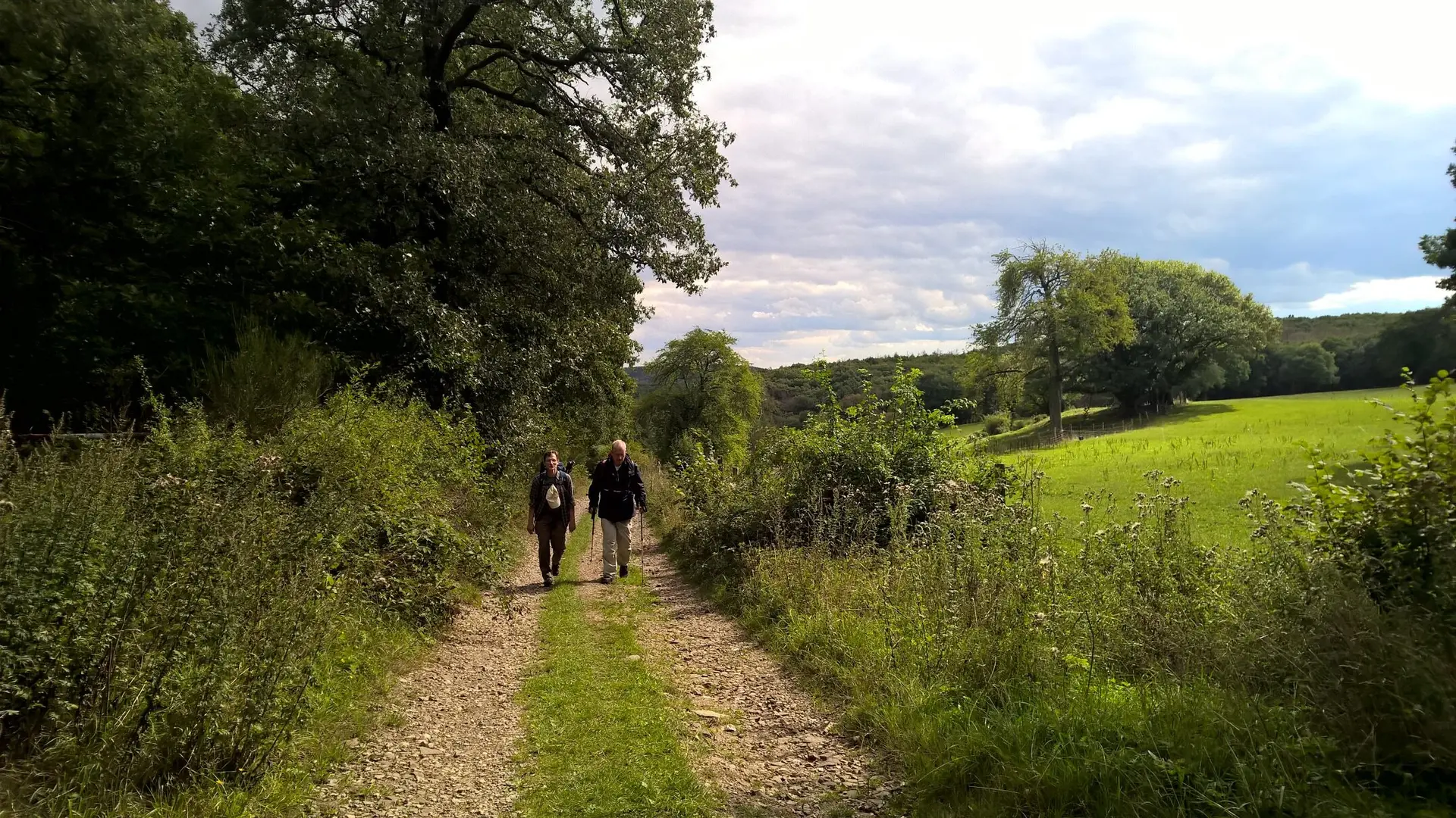 2020 | © Michael Cremer