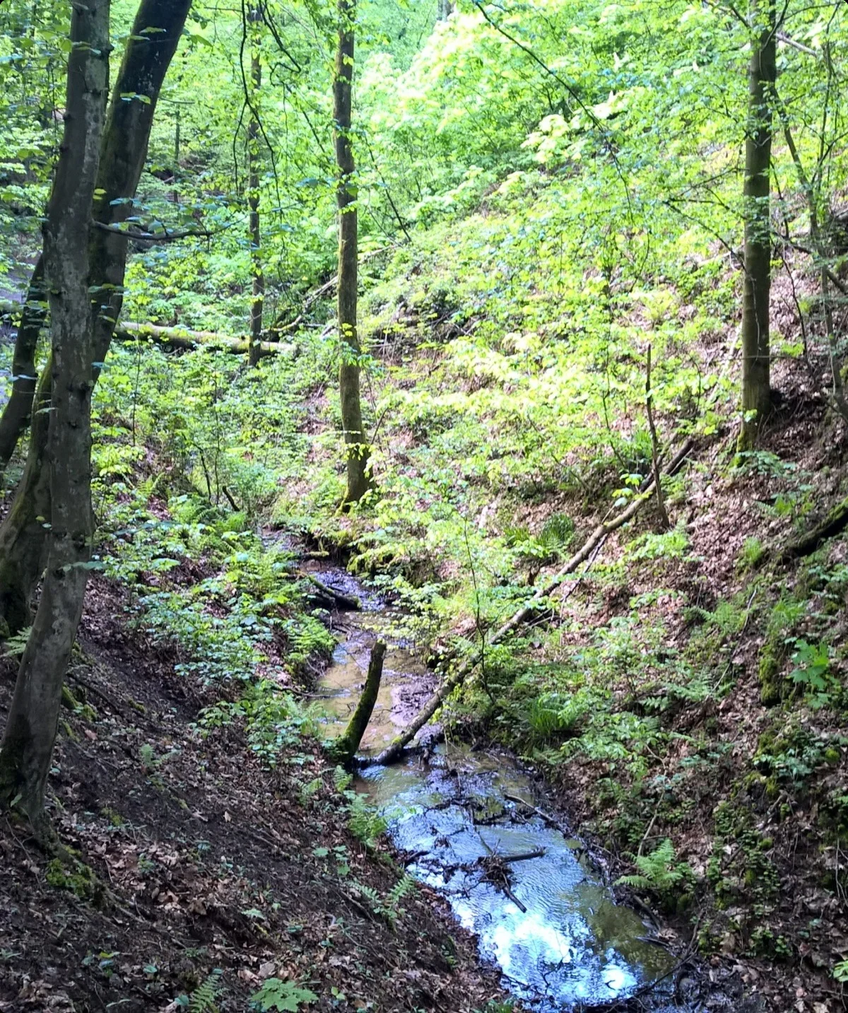 2021 | © Michael Cremer