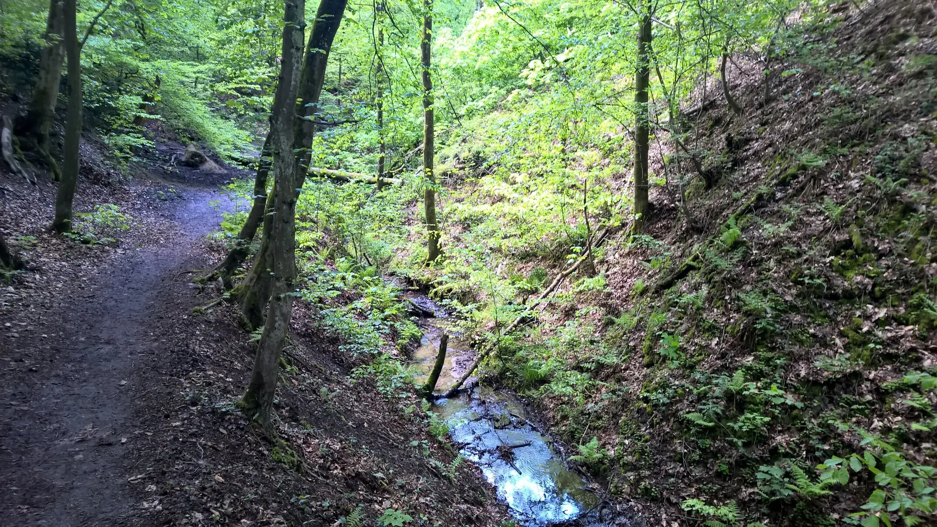 2021 | © Michael Cremer