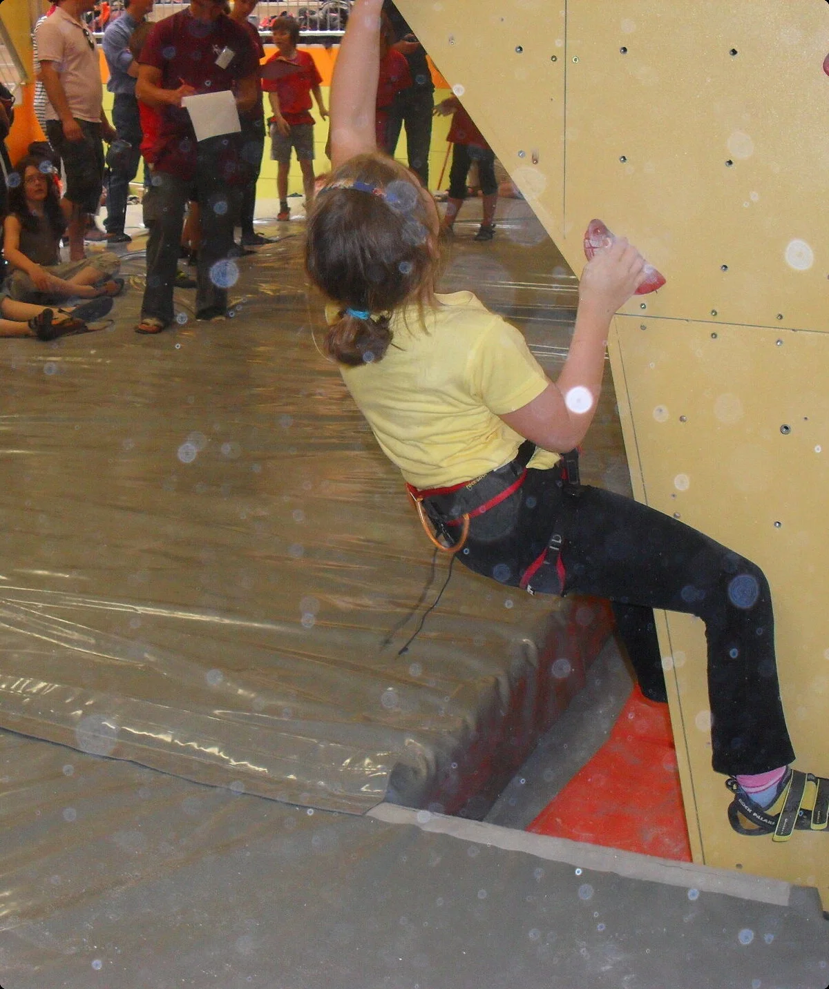 2011 | © Michael Cremer