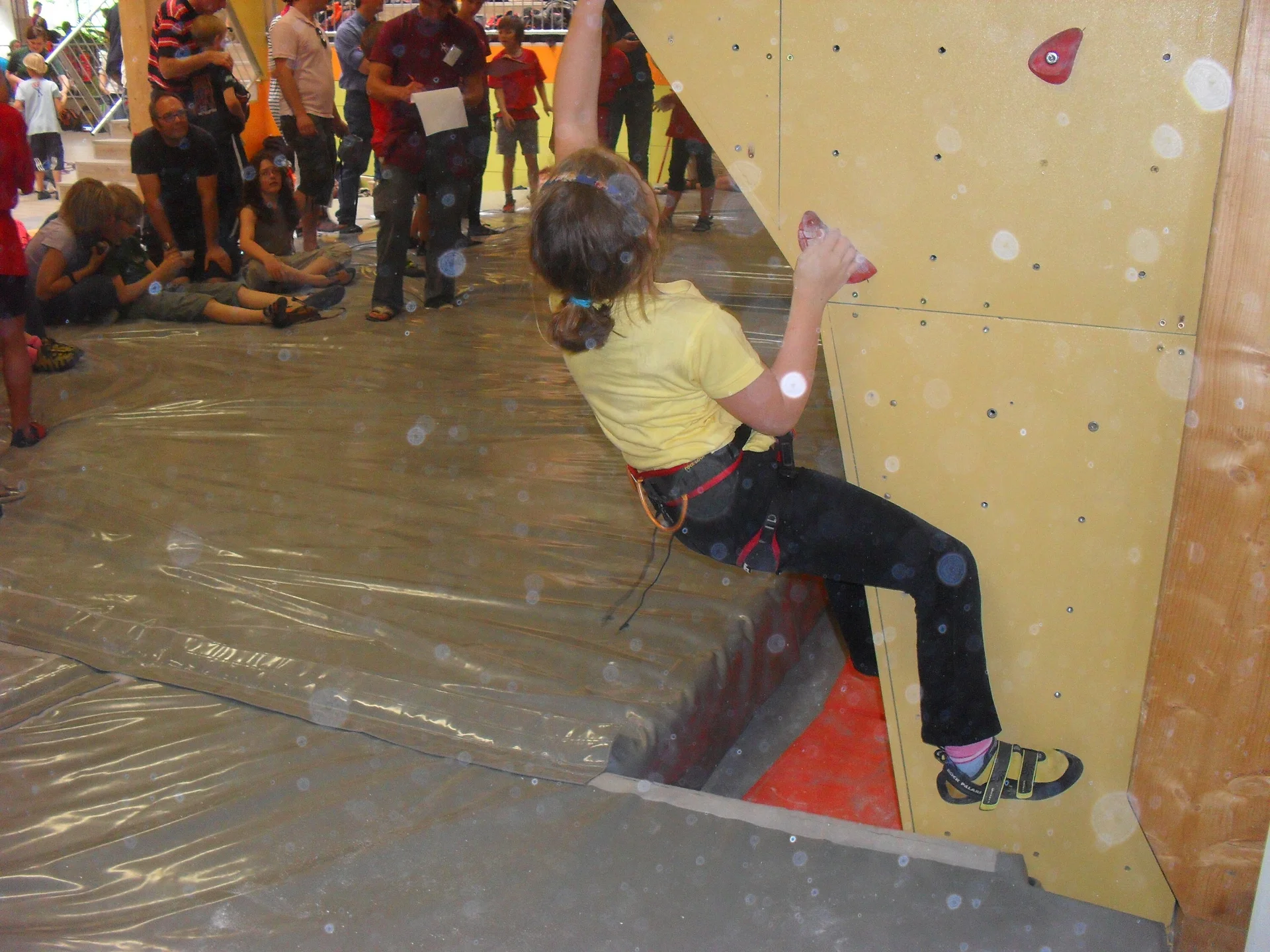 2011 | © Michael Cremer