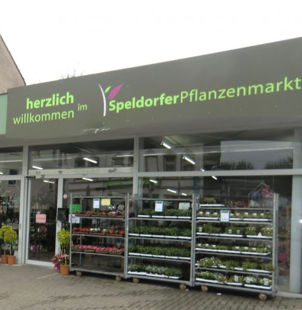 Speldorfer Pflanzenmarkt | © Speldorfer Pflanzenmarkt 2024 | © Speldorfer Pflanzenmarkt