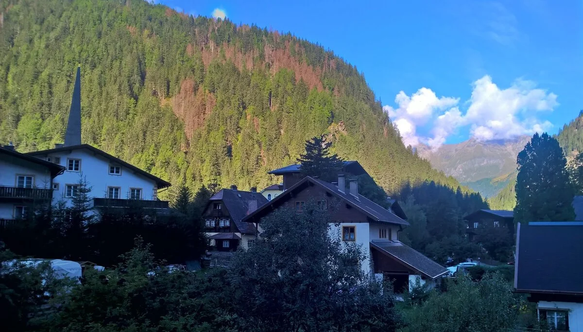 2022 | © Michael Cremer