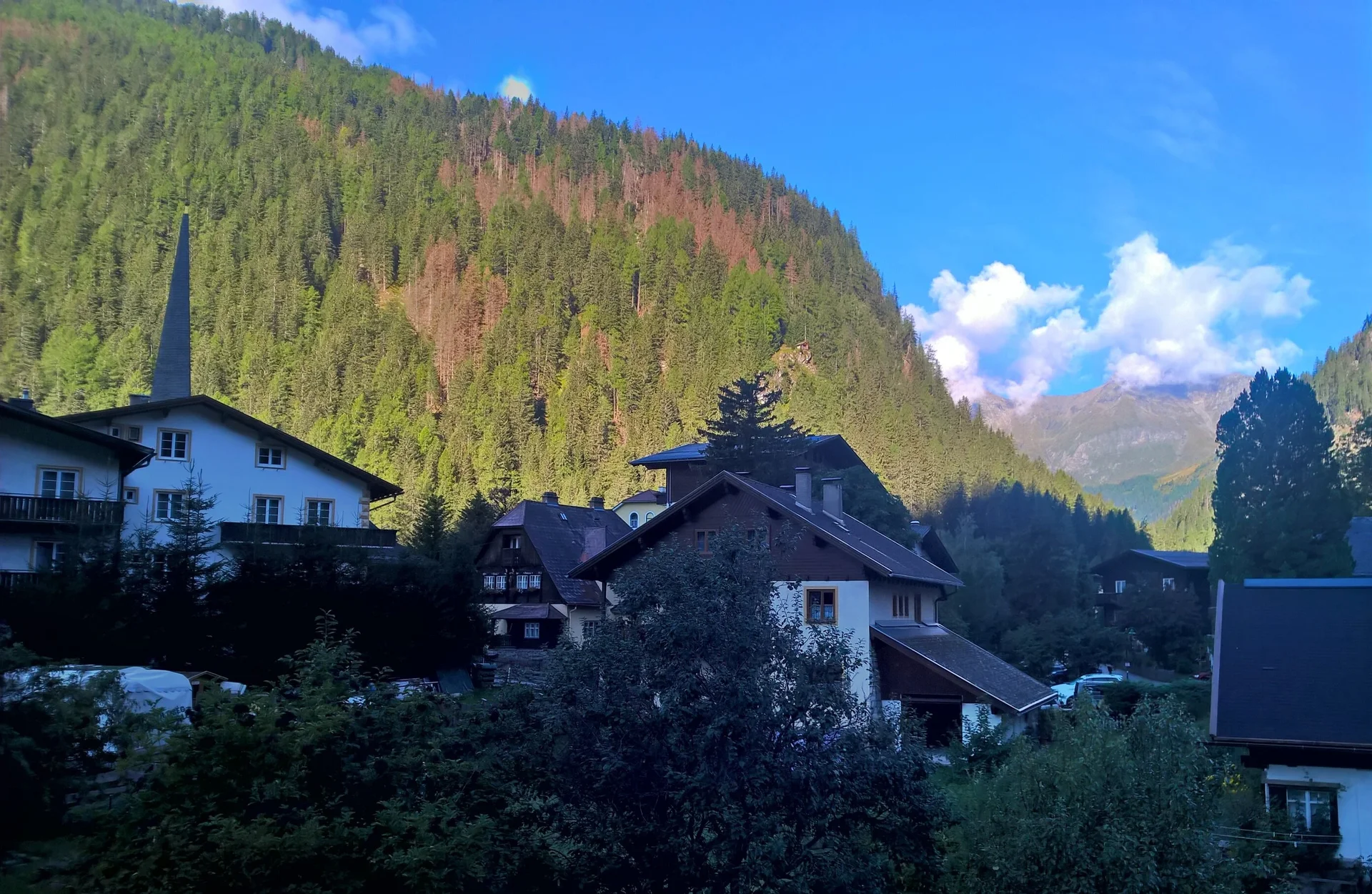 2022 | © Michael Cremer