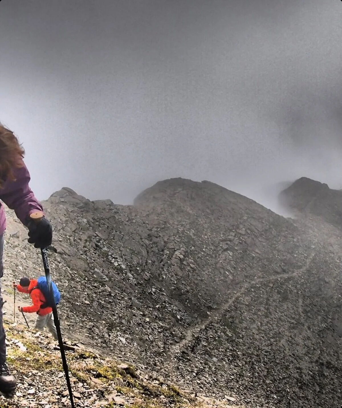 2014 | © Peter Angermann