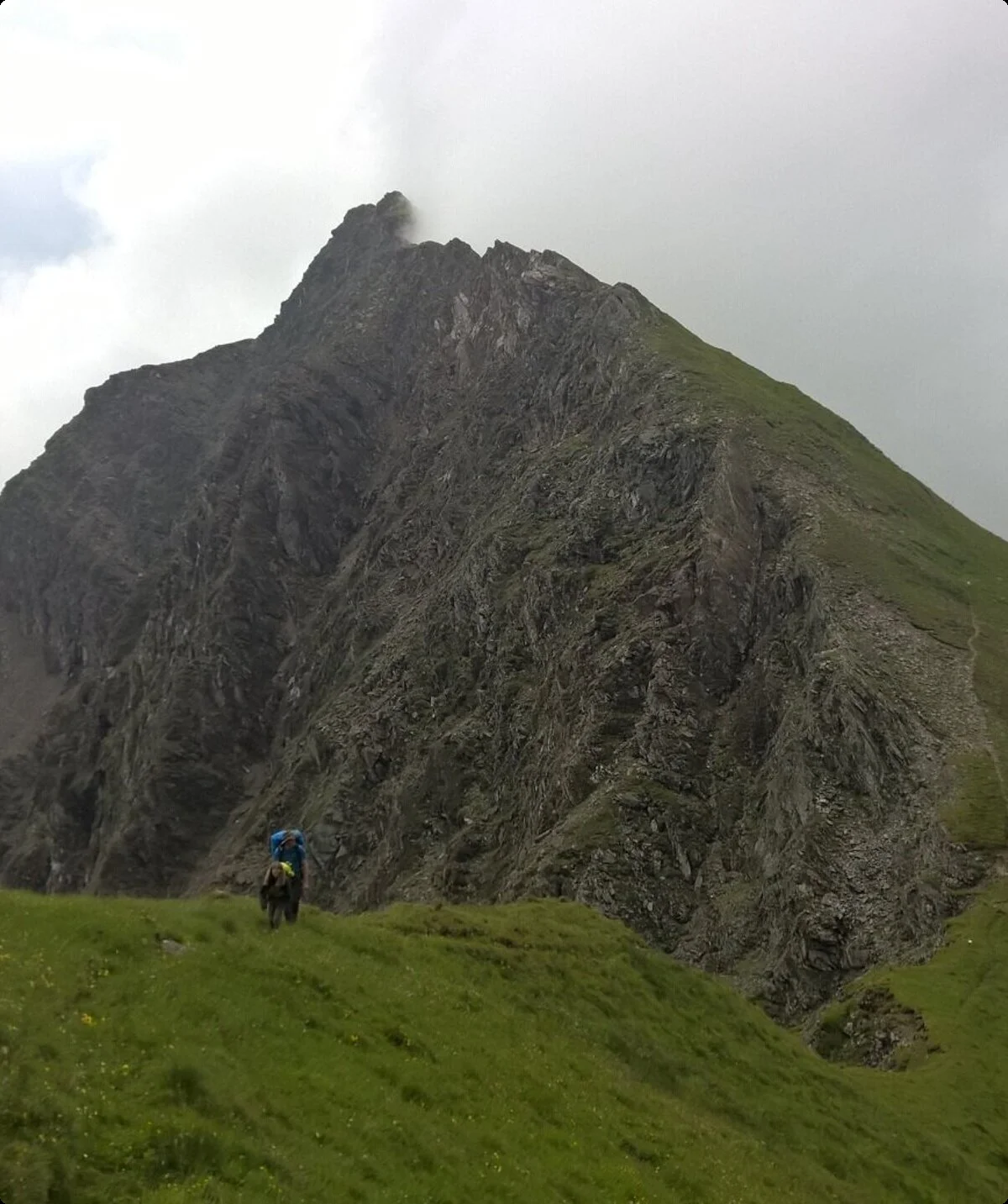 2016 | © Michael Cremer