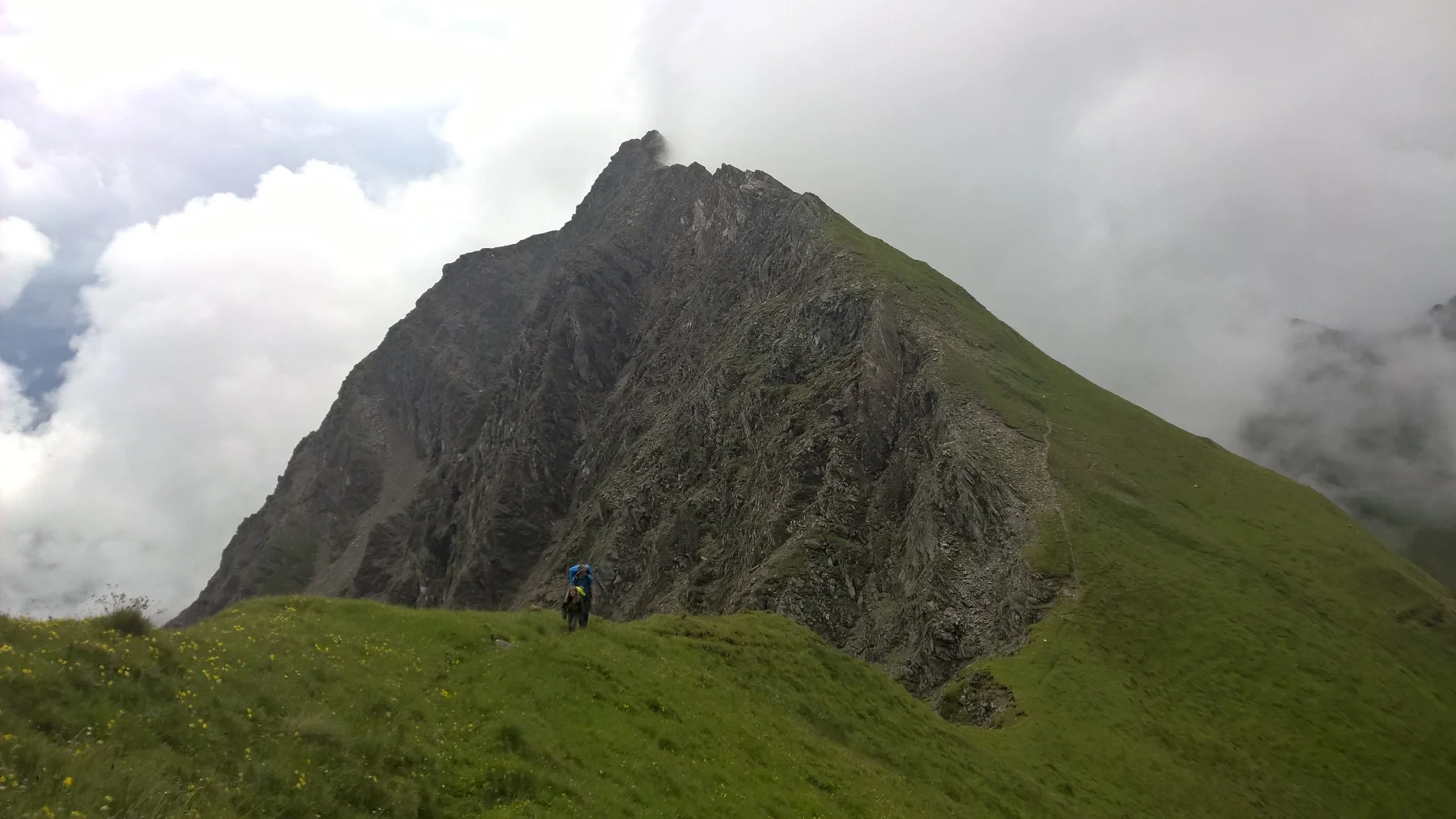 2016 | © Michael Cremer