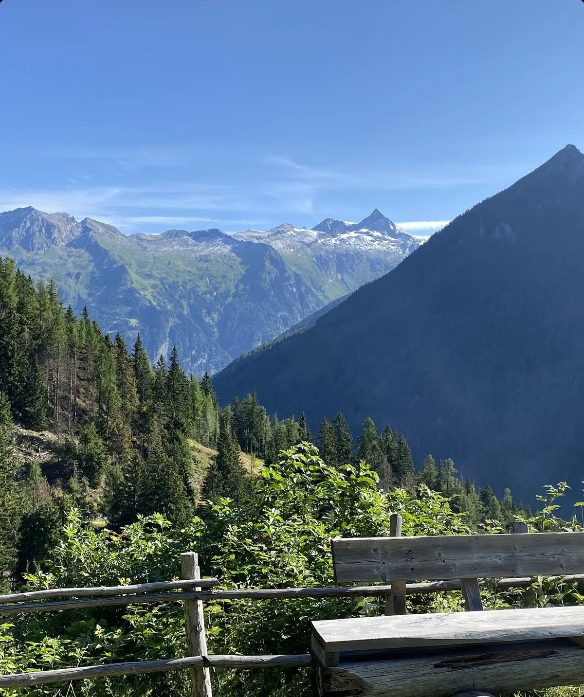 2023 | © Petra Herrchen