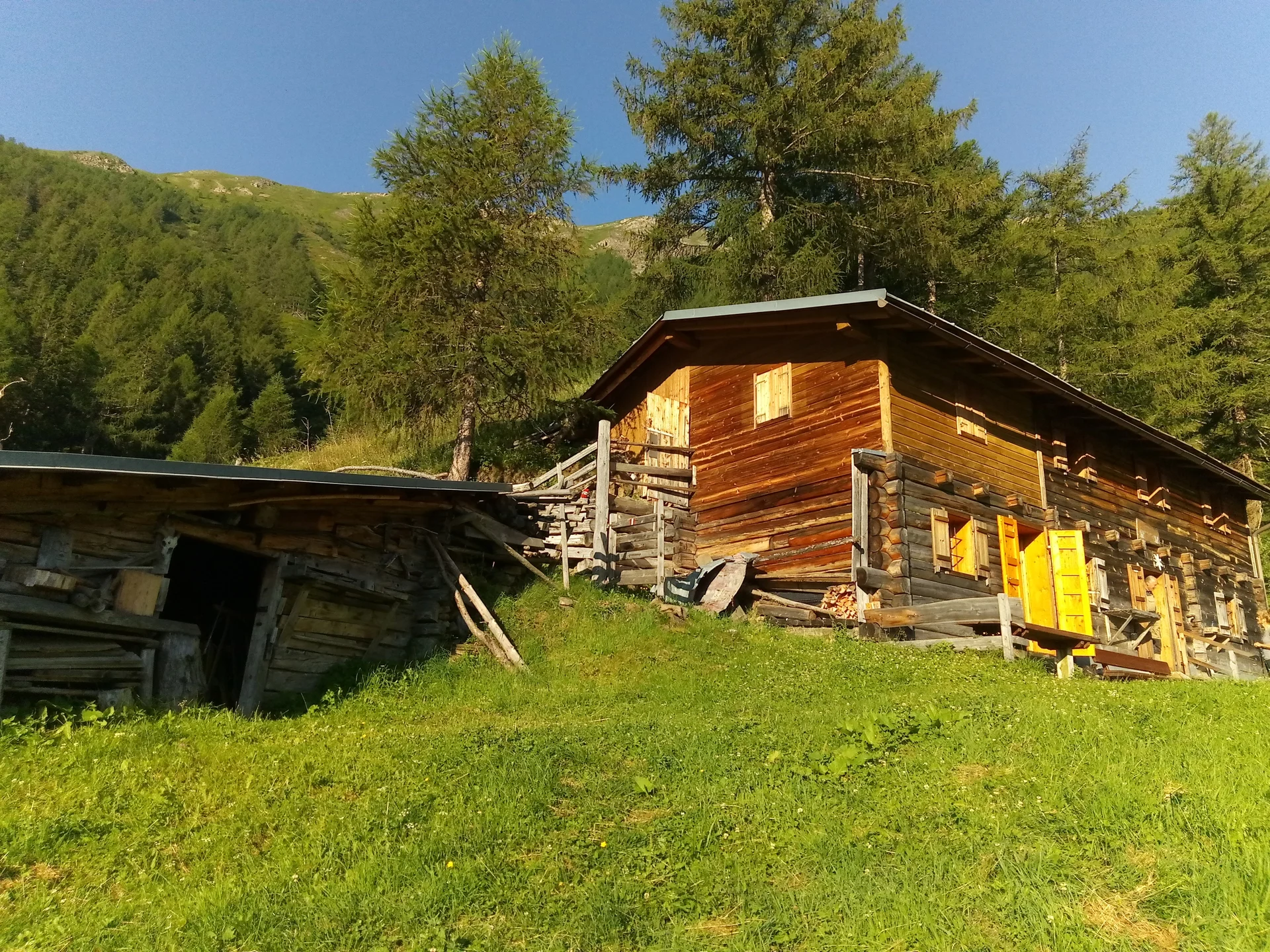 27.01.24 | © Petra Herrchen