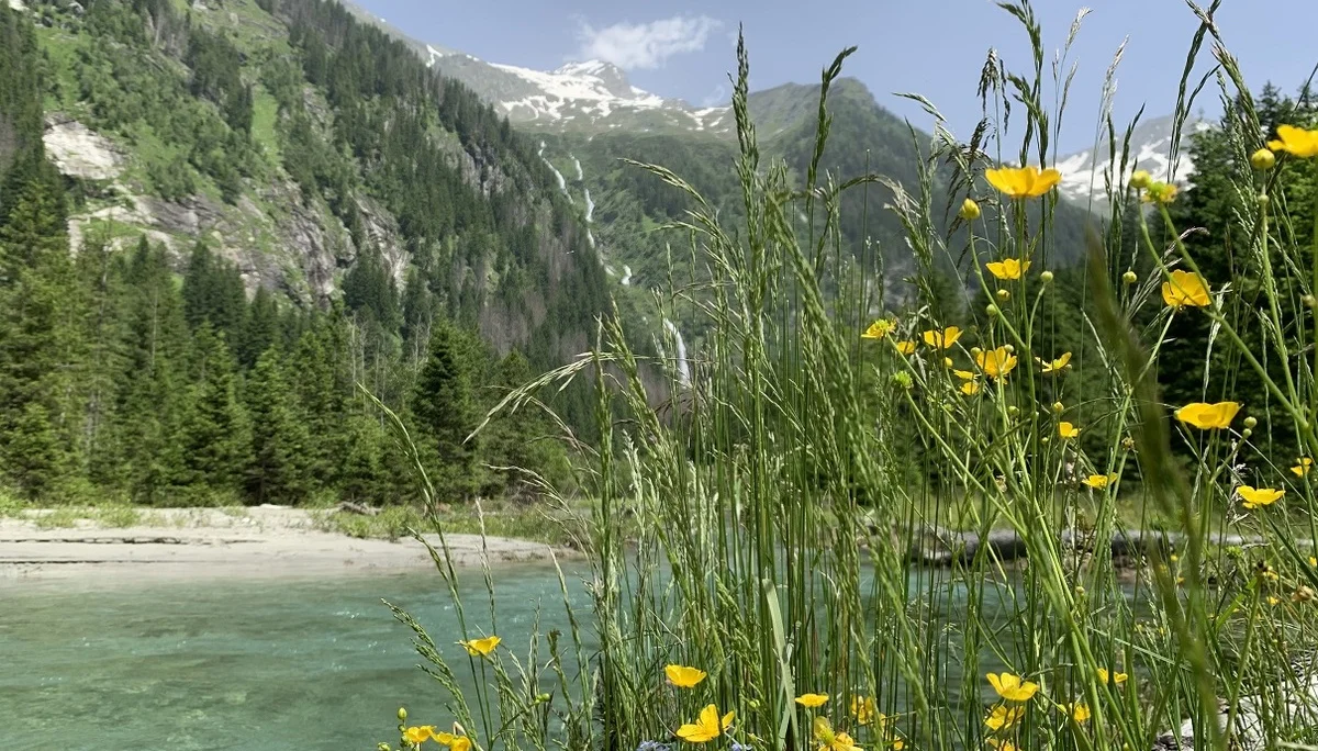 Im Seebachtal | © Michael Cremer 2024 | © Michael Cremer