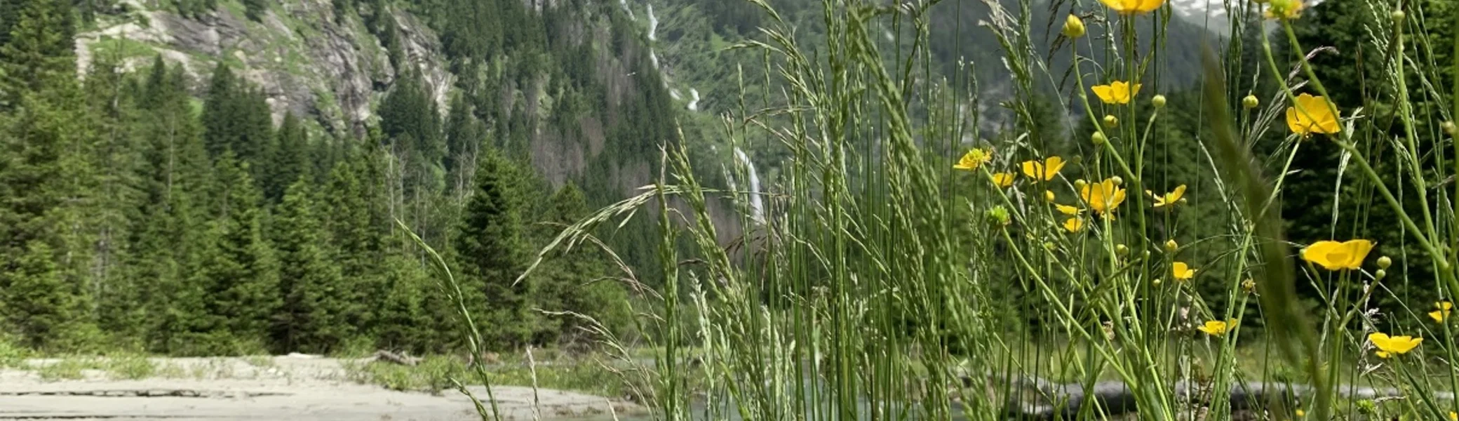 2024 | © Michael Cremer