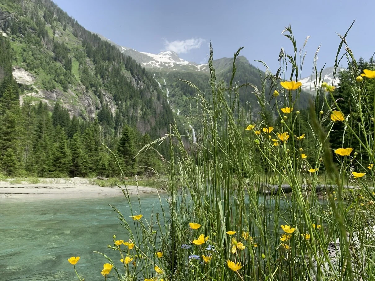 Im Seebachtal | © Michael Cremer 2024 | © Michael Cremer