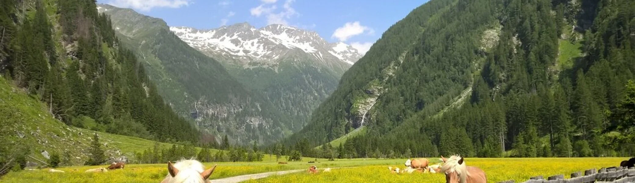 2024 | © Michael Cremer