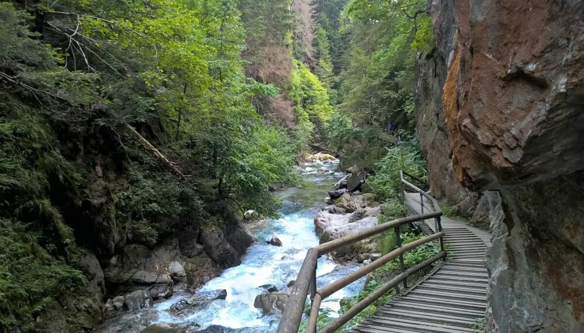 2024 | © Michael Cremer