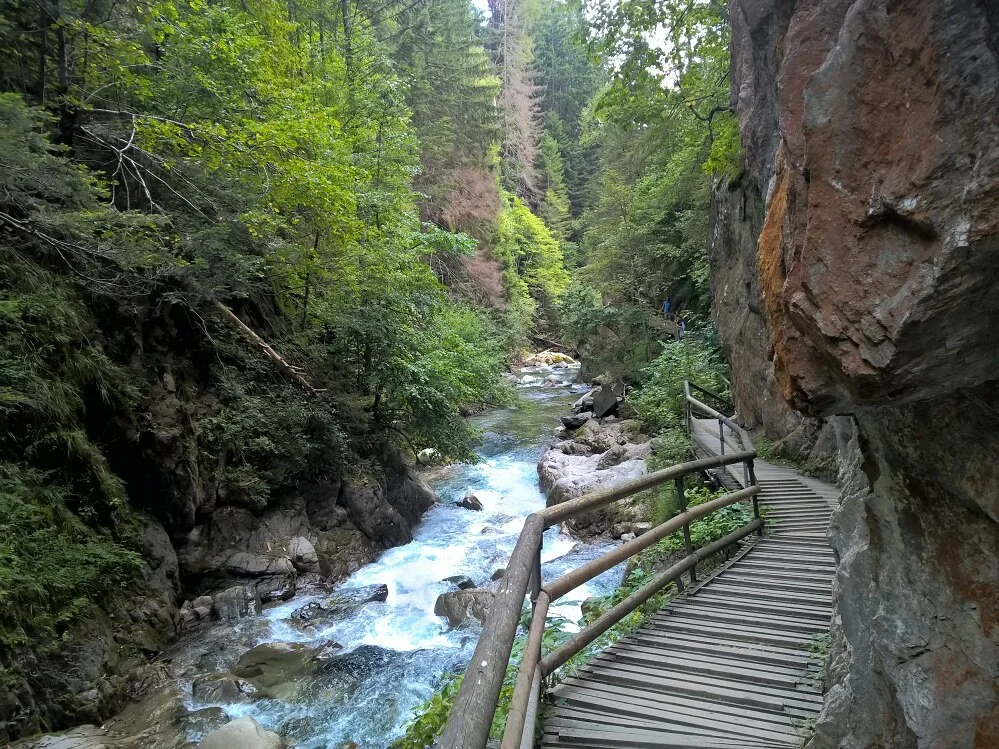 Groppensteinschlucht | © Michael Cremer 2024 | © Michael Cremer