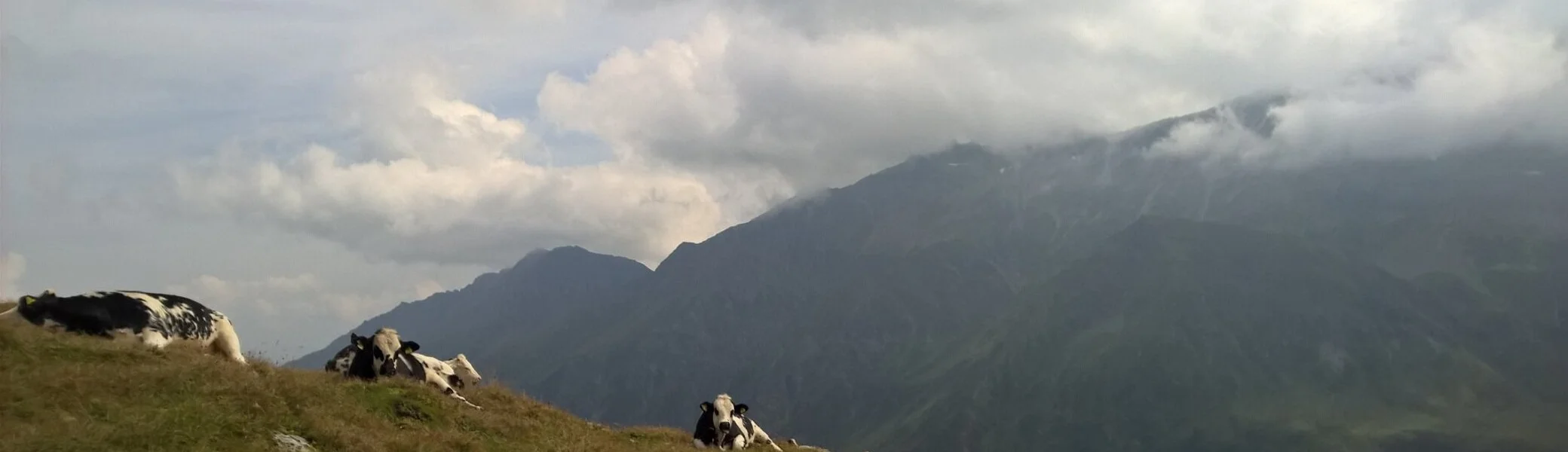 2024 | © Michael Cremer