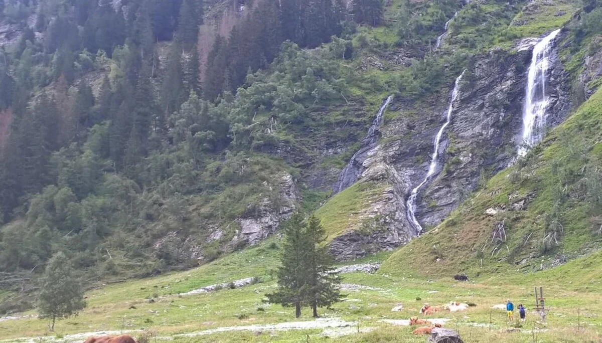 2023 | © Michael Cremer