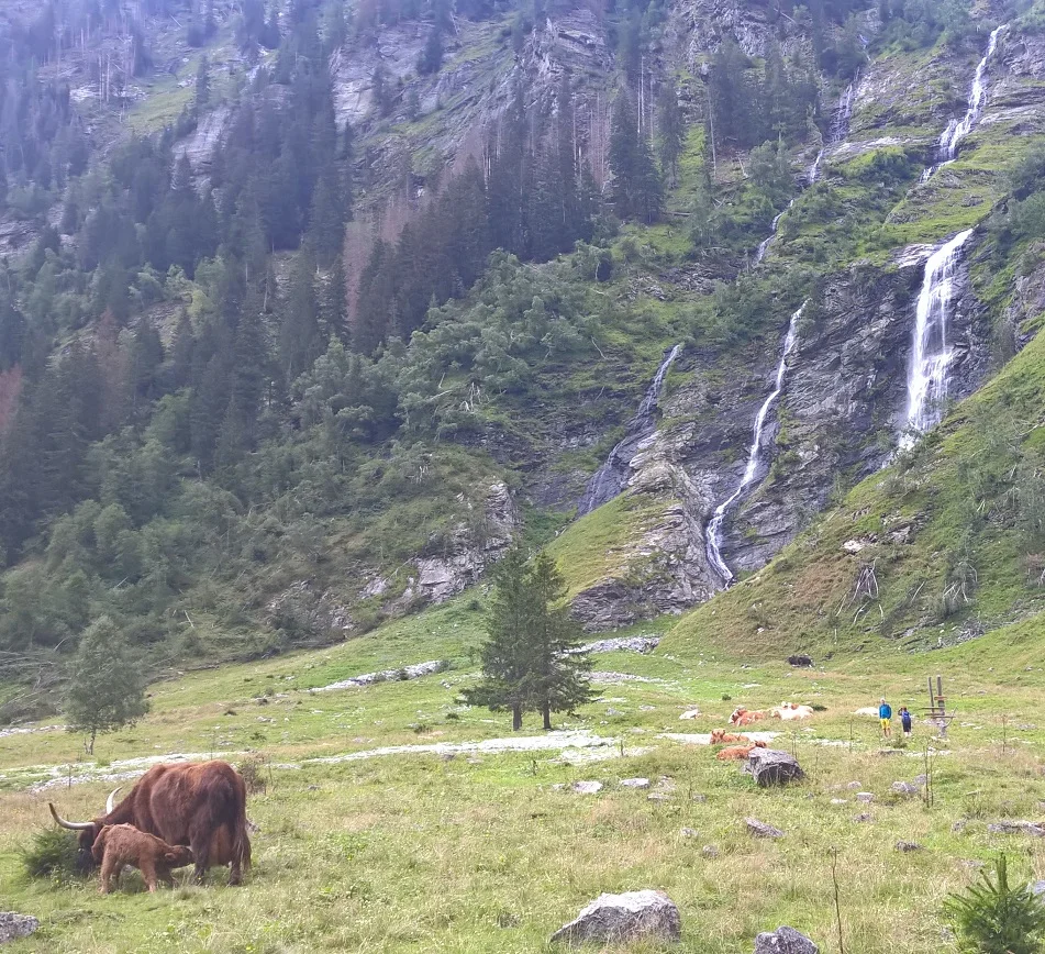 Naturstilleben im Seebachtal | © Michael Cremer 2023 | © Michael Cremer