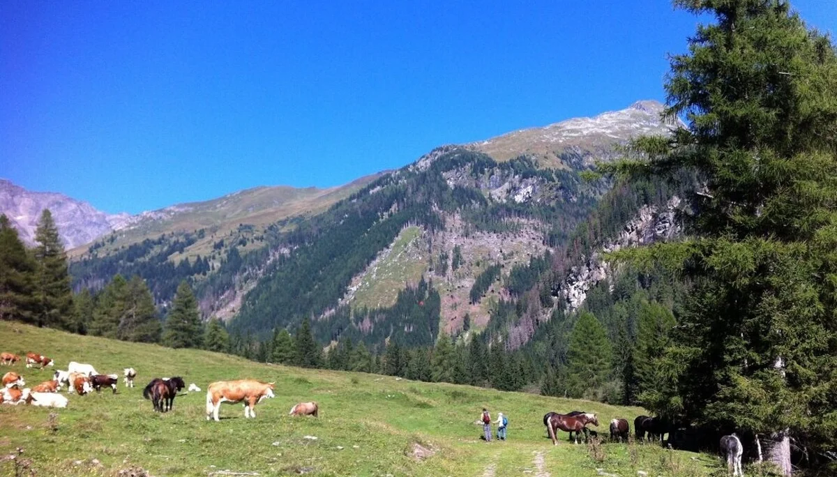 Wandern im Tauerntal | © Michael Cremer 2023 | © Michael Cremer