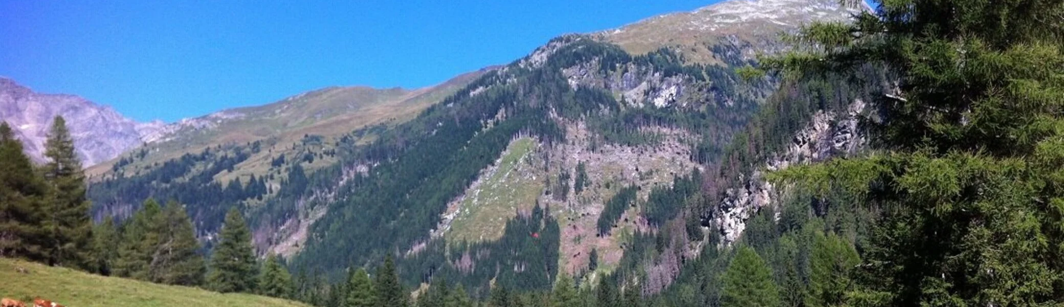 2023 | © Michael Cremer