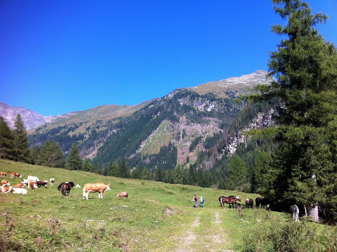 Wandern im Tauerntal | © Michael Cremer 2023 | © Michael Cremer