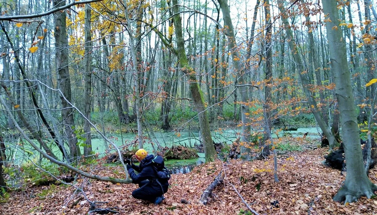 Weihnachtswanderung bei Grefrath | © Petra Herrchen 2022 | © Petra Herrchen